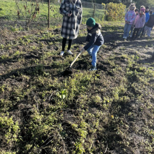 Wyjazd uczniów klas I - III na "Dzień Pieczonego Ziemniaka" do gospodarstwa agroturystycznego w Czechnowie