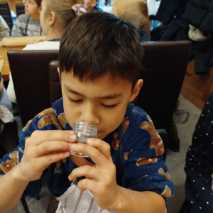 Warsztaty piernikowe w Pakosławiu Pasiece Smakulskich – fot. 67