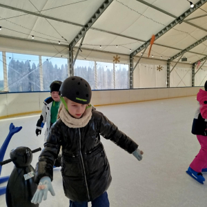 Uczniowie klasy 3a i 3b na lodowisku - fot. 12