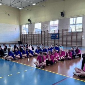 Eliminacje I.M.S. w piłce ręcznej dziewcząt - uczestnicy