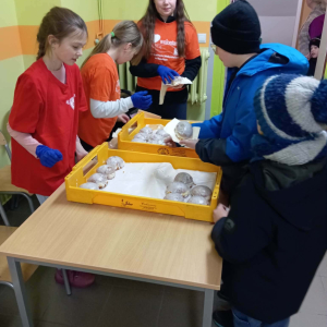 Akcja "Pączki do rączki" - Dziękujemy! - fot. 2