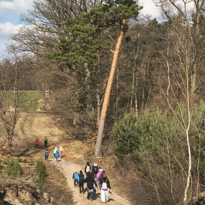 "Wiosenne przebudzenie" - Rajd pieszy organizowany przez ZHP przy współpracy z Gminą Rawicz fot. 15