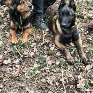 "Wiosenne przebudzenie" - Rajd pieszy organizowany przez ZHP przy współpracy z Gminą Rawicz fot. 14