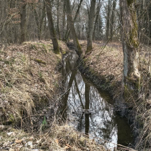 "Wiosenne przebudzenie" - Rajd pieszy organizowany przez ZHP przy współpracy z Gminą Rawicz fot. 13