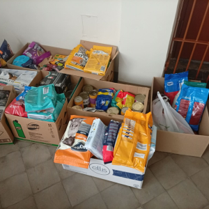 Zebrane produkty dla zwierząt ze schroniska w Rawiczu
